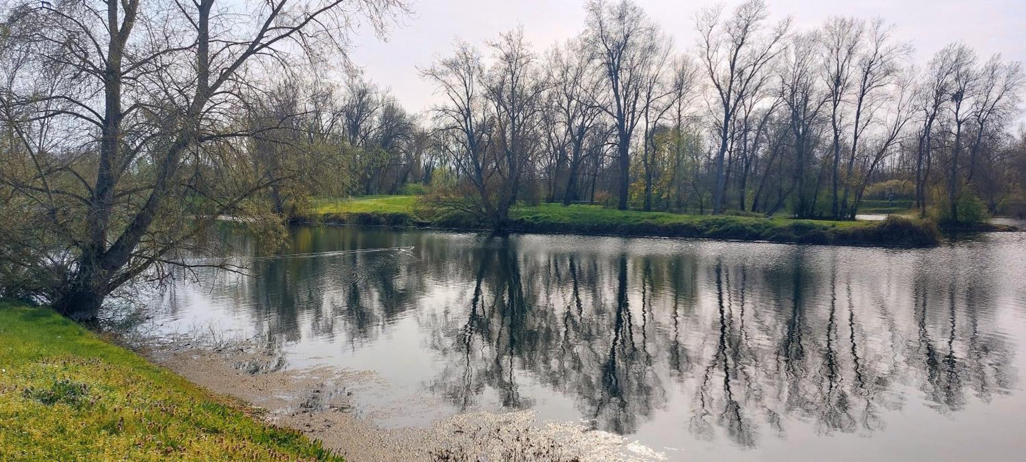 Studio Sur Les Rives D'Allier Μουλέν Εξωτερικό φωτογραφία